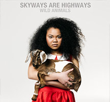 Skyways are Highways: Wild Animals